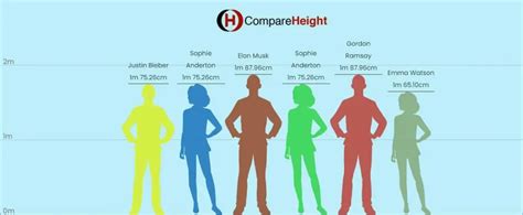 how tall is 6 meters.
